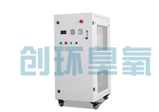 甘孜石斑鱼养殖水质调控完整指南：臭氧发生器配置与操作步骤